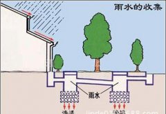 初期雨水收集為什么這么重要？